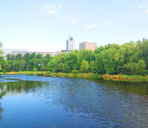 北京都潤生態(tài)環(huán)境工程有限公司-濕地公園建設(shè)-柳林公園