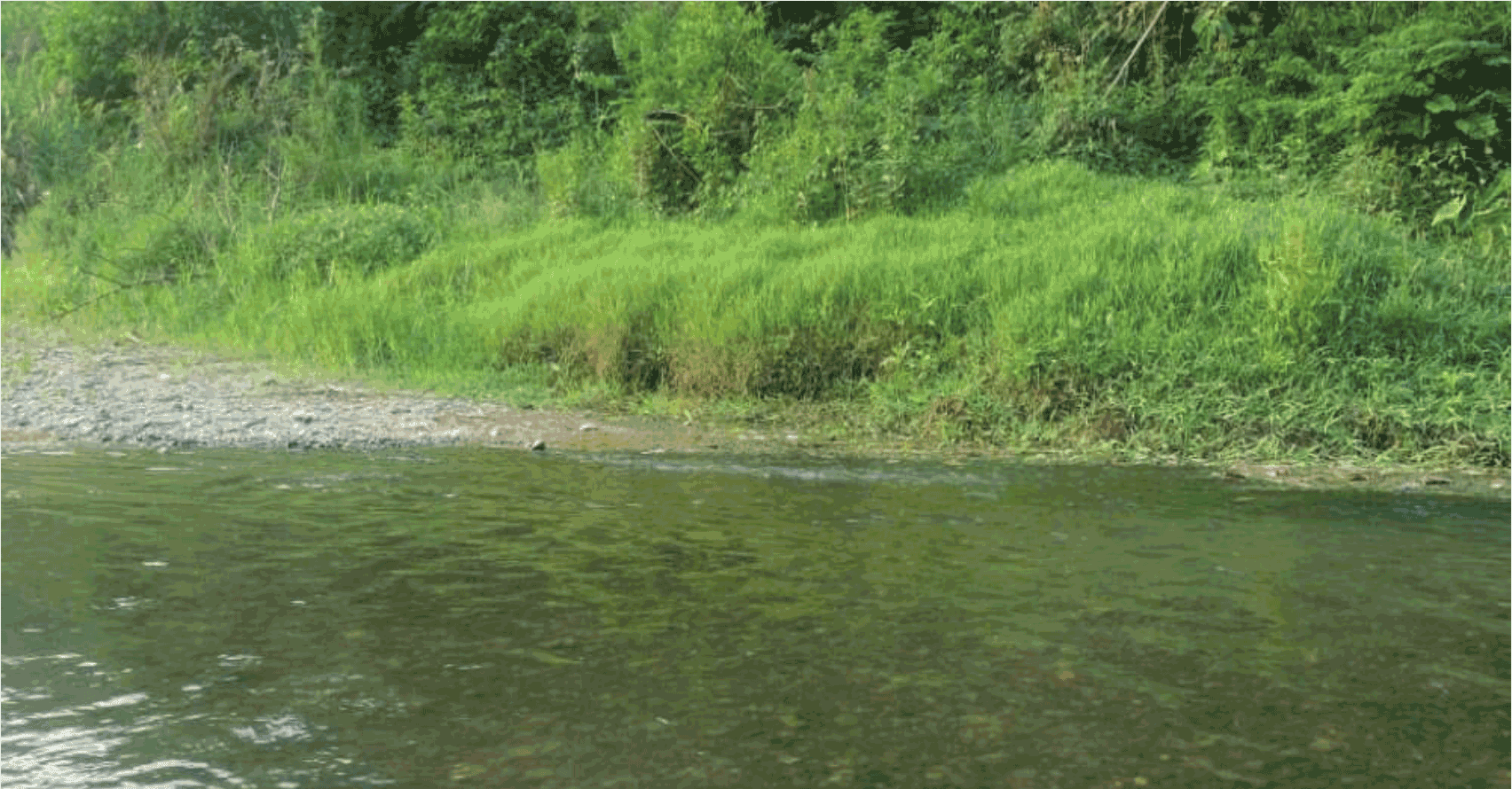 北京都潤生態(tài)環(huán)境工程有限公司-小流域治理-北京市小龍河治理工程