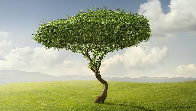 生態(tài)文明寫(xiě)入憲法