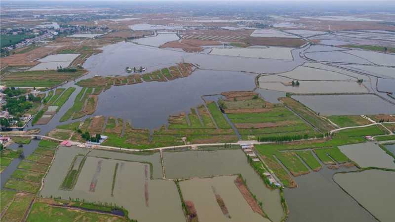 若不治水、何以雄安：雄安建設(shè)帶動(dòng)黑臭水體市場(chǎng)加速釋放