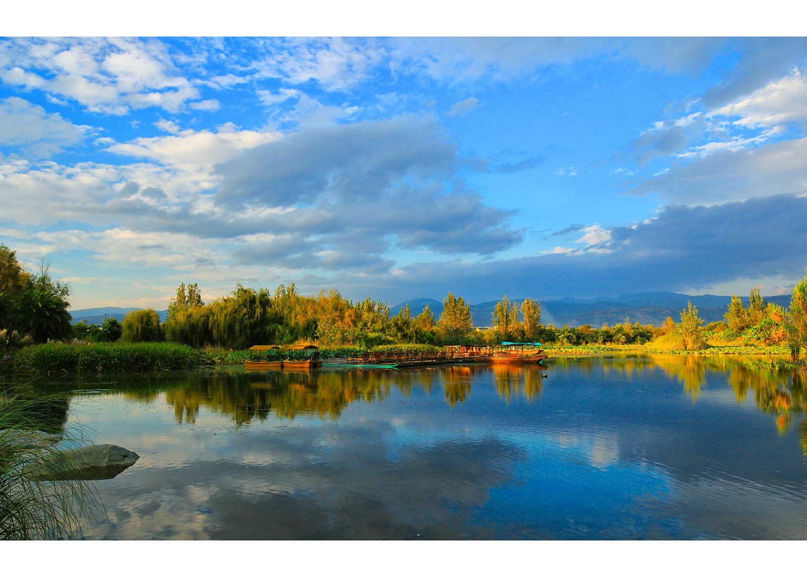 案例分享 | 濕地景觀設(shè)計要點，大量理論與案例不容錯過！