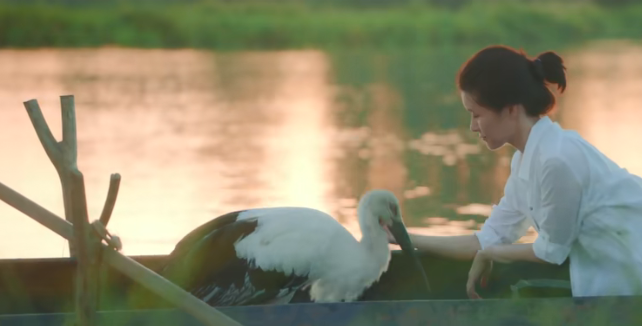 佳片推薦 | 超美！生態(tài)環(huán)保電影《等兒的濕地》